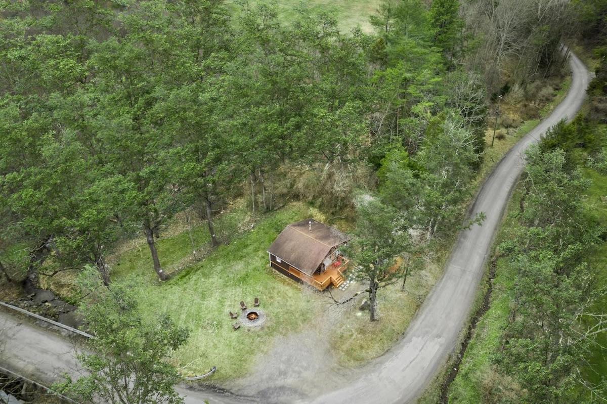 Creekside Cabin W Hot Tub, Fire Pit, Grill, Wifi! Basye Zewnętrze zdjęcie